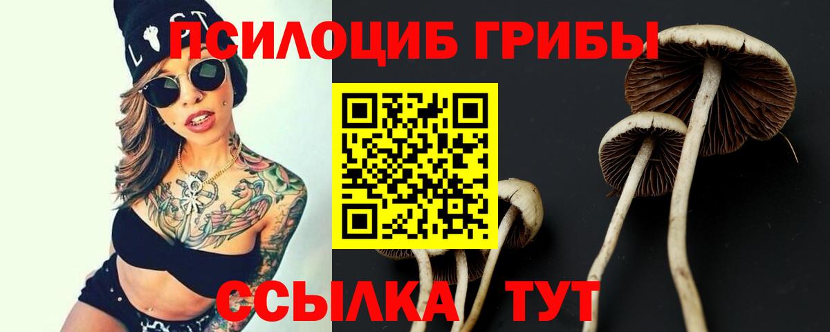 Псилоцибиновые грибы GOLDEN TEACHER  Псилоцибиновые грибы ЛСД  Лабинск  Вход с VPN 
